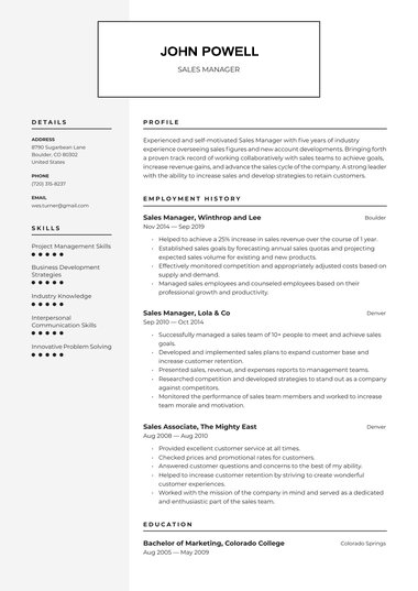Professional resume template Amsterdam
