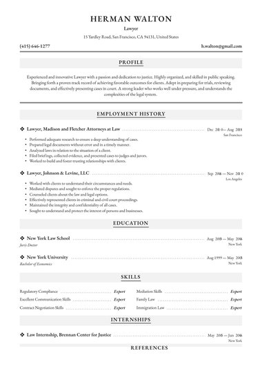 Professional resume template Santiago